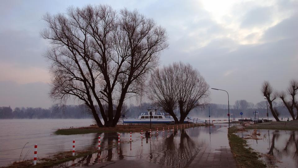 Rhein bei Hochwasser.
