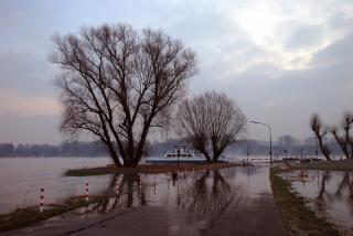 Rhein bei Hochwasser.