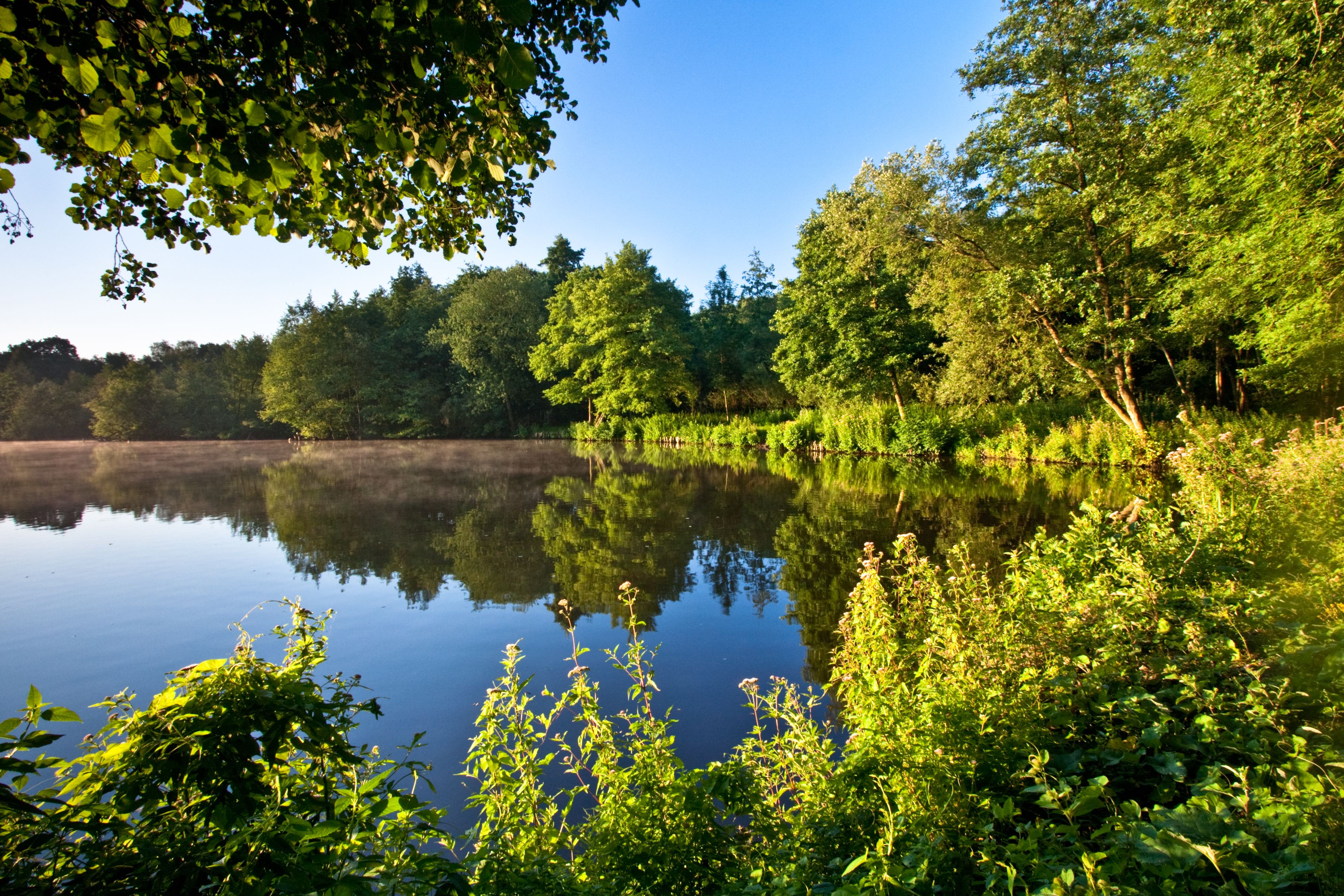 Mühlteich bei Wegberg. 