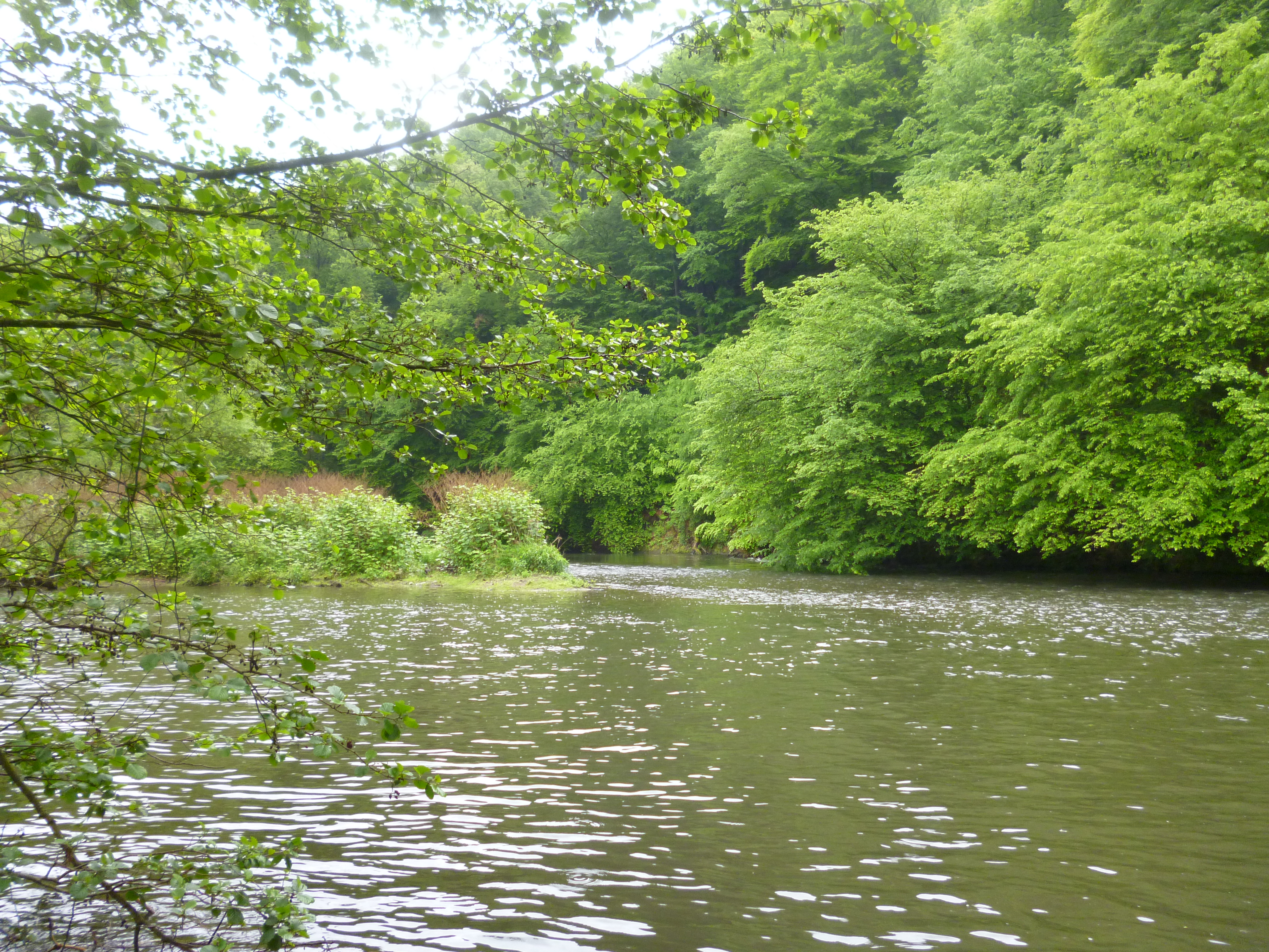 Die Wupper bei Solingen. Foto: Dr. Detlev Ingendahl