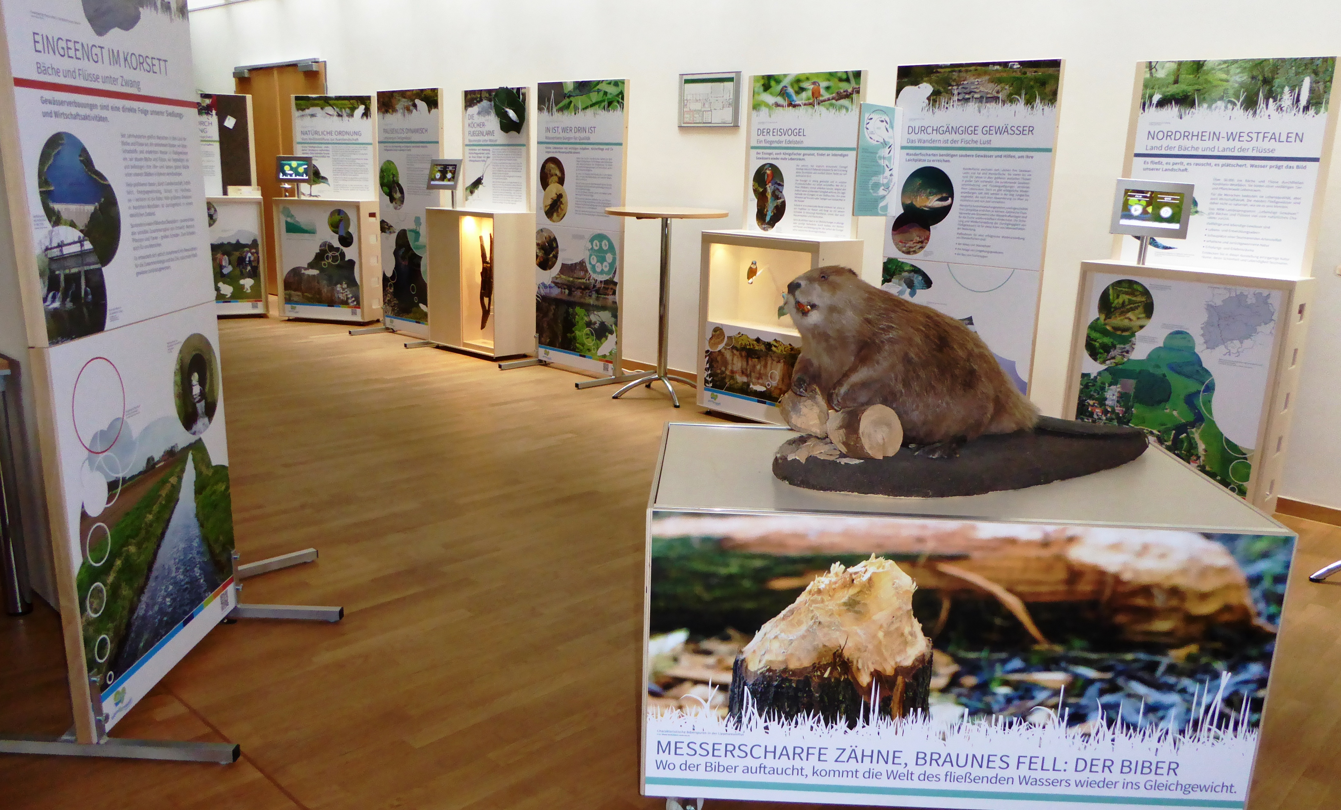 Ein Blick in die Wanderausstellung "Lebendige Gewässer". Foto: MULNV