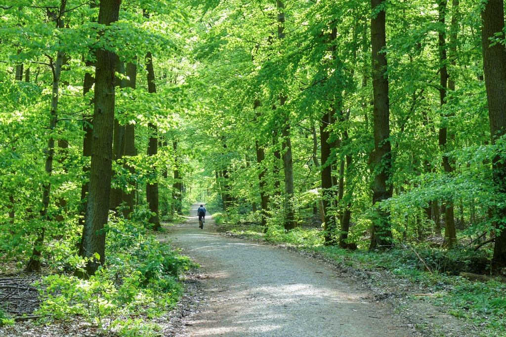 Radfahren im Naturpark Rheinland. Foto: Zweckverband Naturpark Rheinland