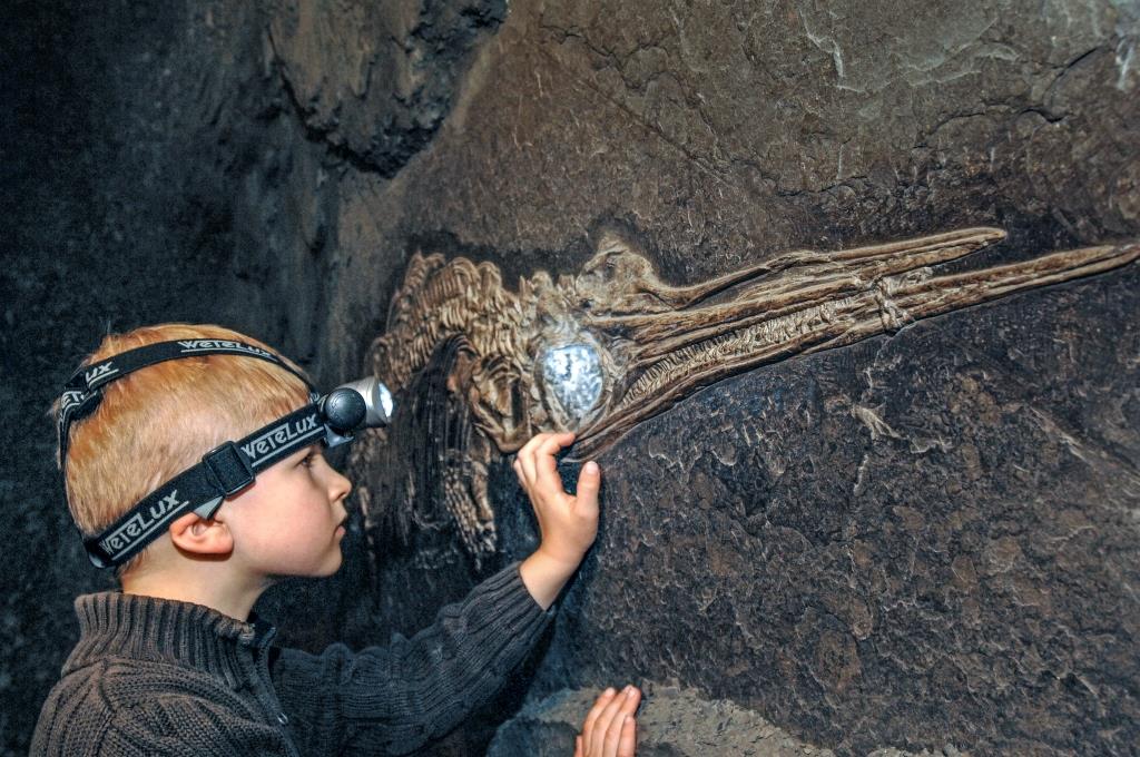 Die Ausstellung TERRA.vision im Geopark TERRA.vita. Foto: Münch.Fotodesign