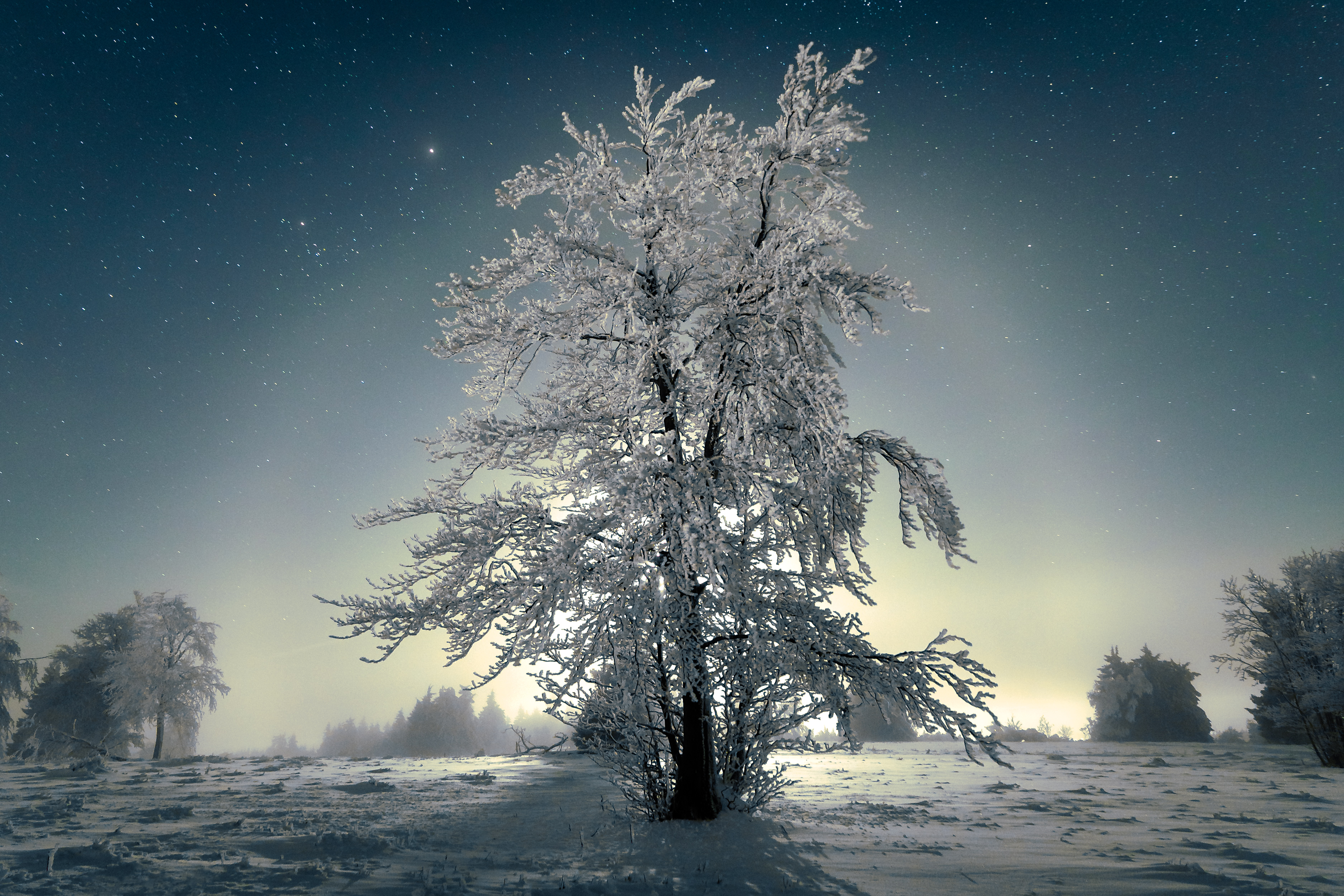 Platz 1 des Fotowettbewerbs 2022/2023: "Frostnacht" von Mark Clemens