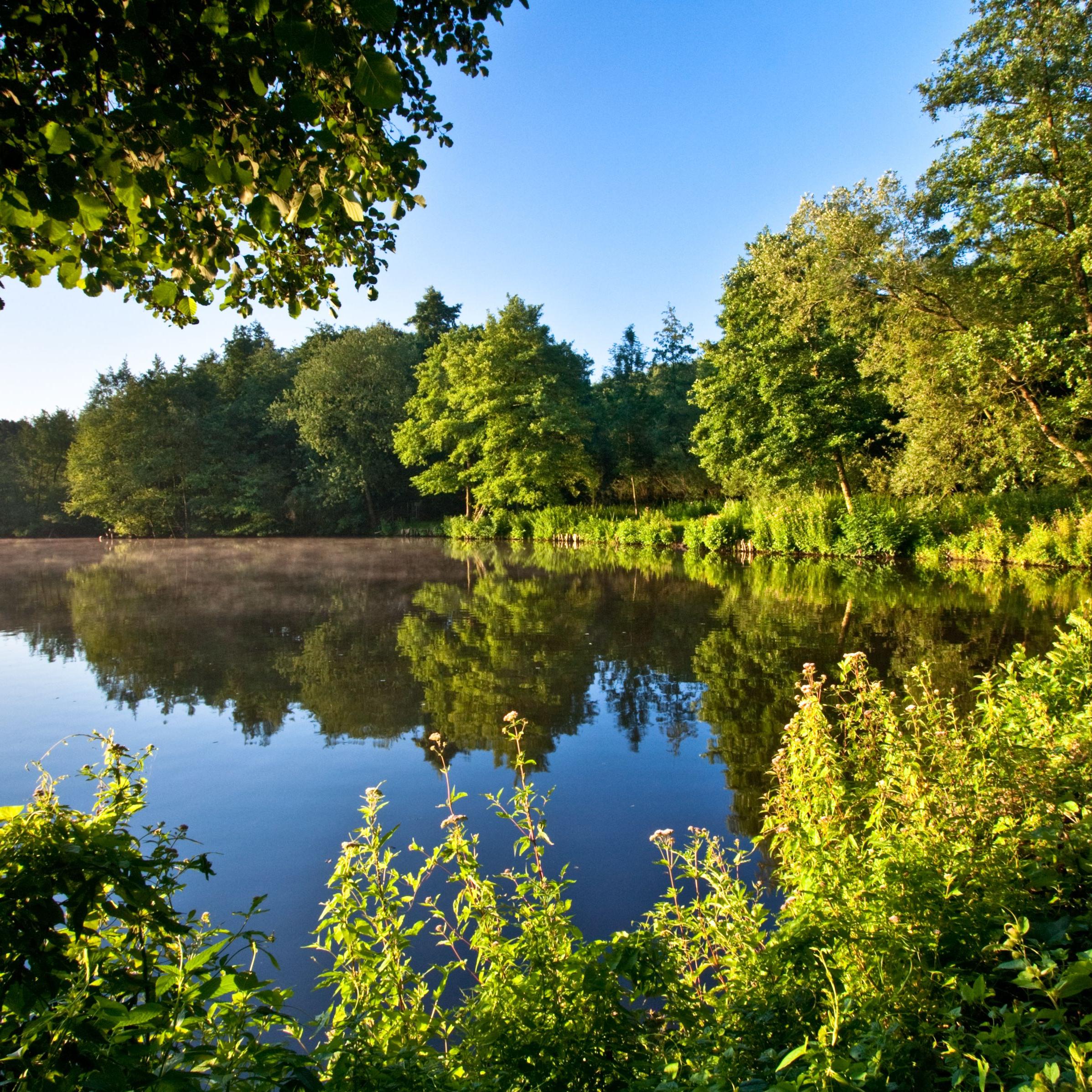 Umwelt umwelt.nrw.de