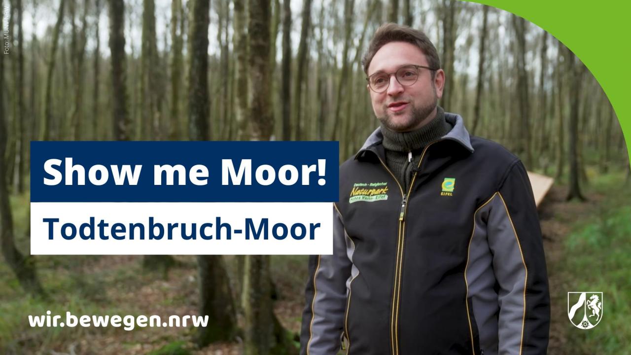 Show me moor! Todtenbruch-Moor bei Hürtgenwald | umwelt.nrw.de