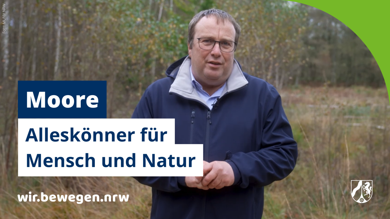 Moore: Unverzichtbare Alleskönner für Mensch und Natur | umwelt.nrw.de