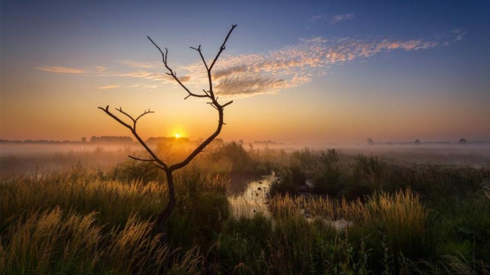 Naturschutzgebiet Großes Torfmoor zwischen Minden und Lübbecke. Foto: Kai Hormann