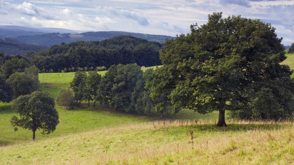 Abwechslungsreich Natur- und Kulturlandschaft bei Siegen-Volnsberg. Foto: Martin Jung/panthermedia.net