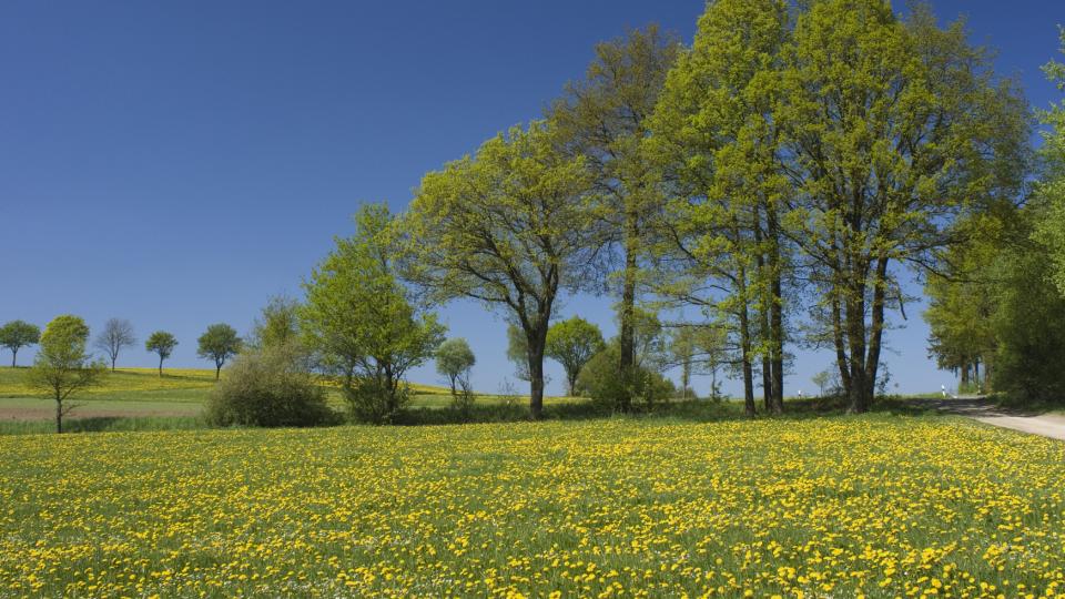 Abwechslungsreiche Natur- und Kulturlandschaft bei Wenden-Dörnschlade.