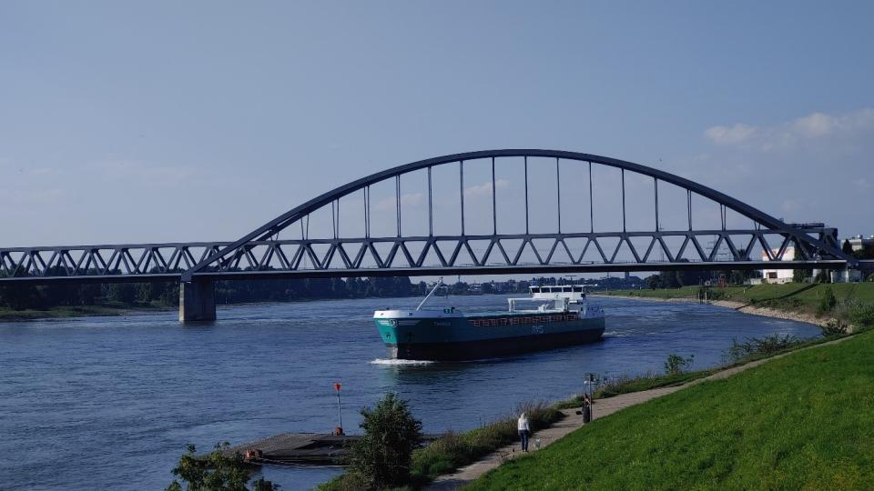 Seeschiff bei Rhein-Km. 739. Foto: MUNV.