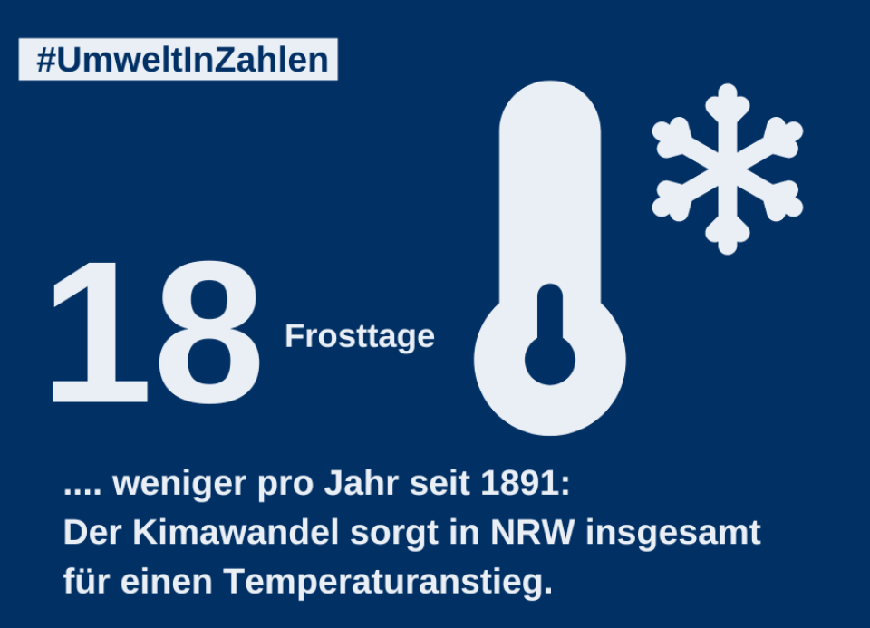 Umwelt in Zahlen. Grafik: Canva.