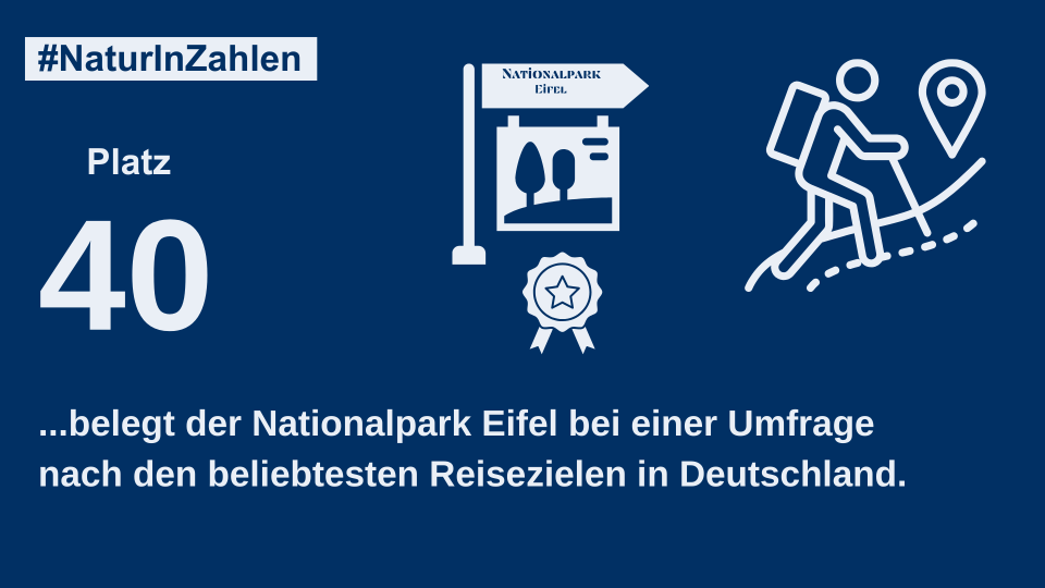 Nationalpark Eifel auf Platz 40 der beliebtesten Reiseziele in Deutschland
