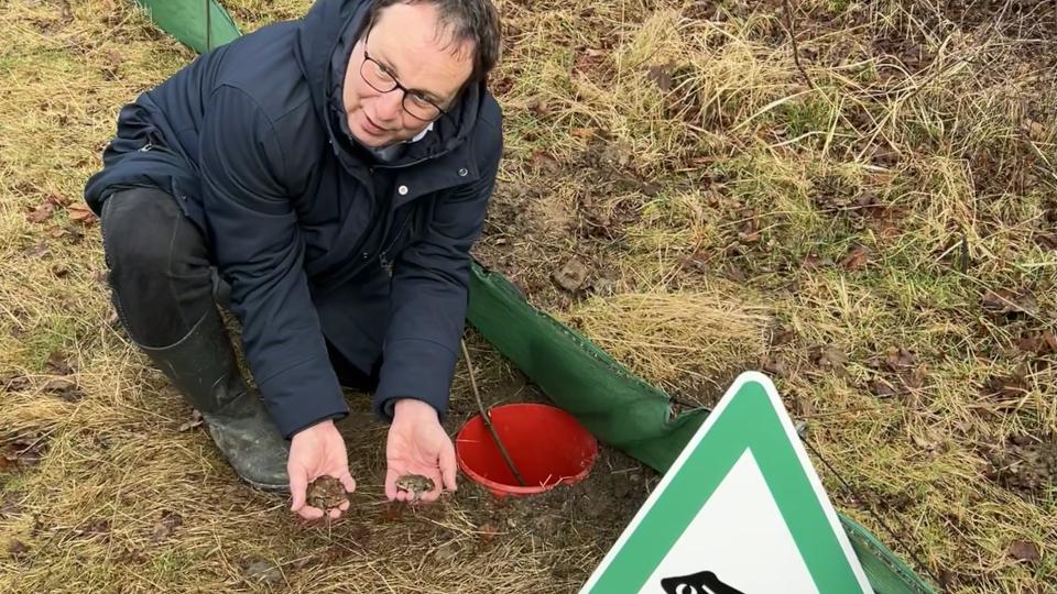Umweltminister Oliver Krischer besucht Inititative für Amphibienschutz in Erftstadt