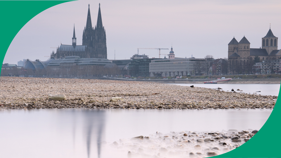 Niedrigwasser Rhein