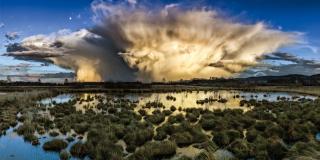 Naturschutzgebiet „Großes Torfmoor“ zwischen Hille und Lübbecke. Foto: Kai Hormann