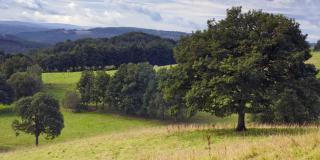 Abwechslungsreich Natur- und Kulturlandschaft bei Siegen-Volnsberg. Foto: Martin Jung/panthermedia.net