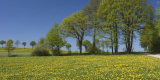 Abwechslungsreiche Natur- und Kulturlandschaft bei Wenden-Dörnschlade.