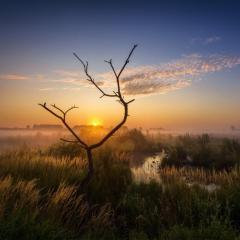 Naturschutzgebiet Großes Torfmoor zwischen Minden und Lübbecke. Foto: Kai Hormann