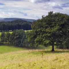 Abwechslungsreich Natur- und Kulturlandschaft bei Siegen-Volnsberg. Foto: Martin Jung/panthermedia.net