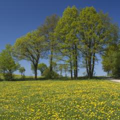 Abwechslungsreiche Natur- und Kulturlandschaft bei Wenden-Dörnschlade.