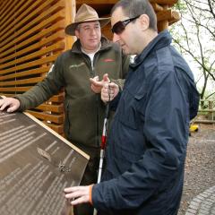 barrierefreies Naturerlebnis im „Barrierefreien Natur-Erlebnisraum Wilder Kermeter“ im Nationalpark Eifel.
