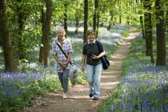 Spaziergänger im Wald