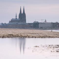 Rhein bei Niedrigwasser